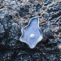 Platinum & Blue Oyster Trinket Tray (Black clay)