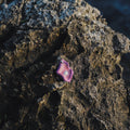 Lavender & Coral Pink Oyster Ceramic Necklace